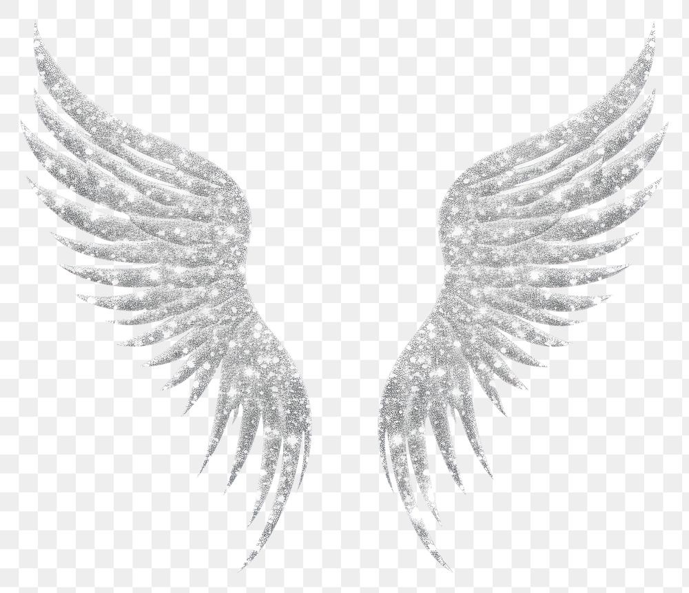 PNG Silver color Angel wings icon angel white white background.