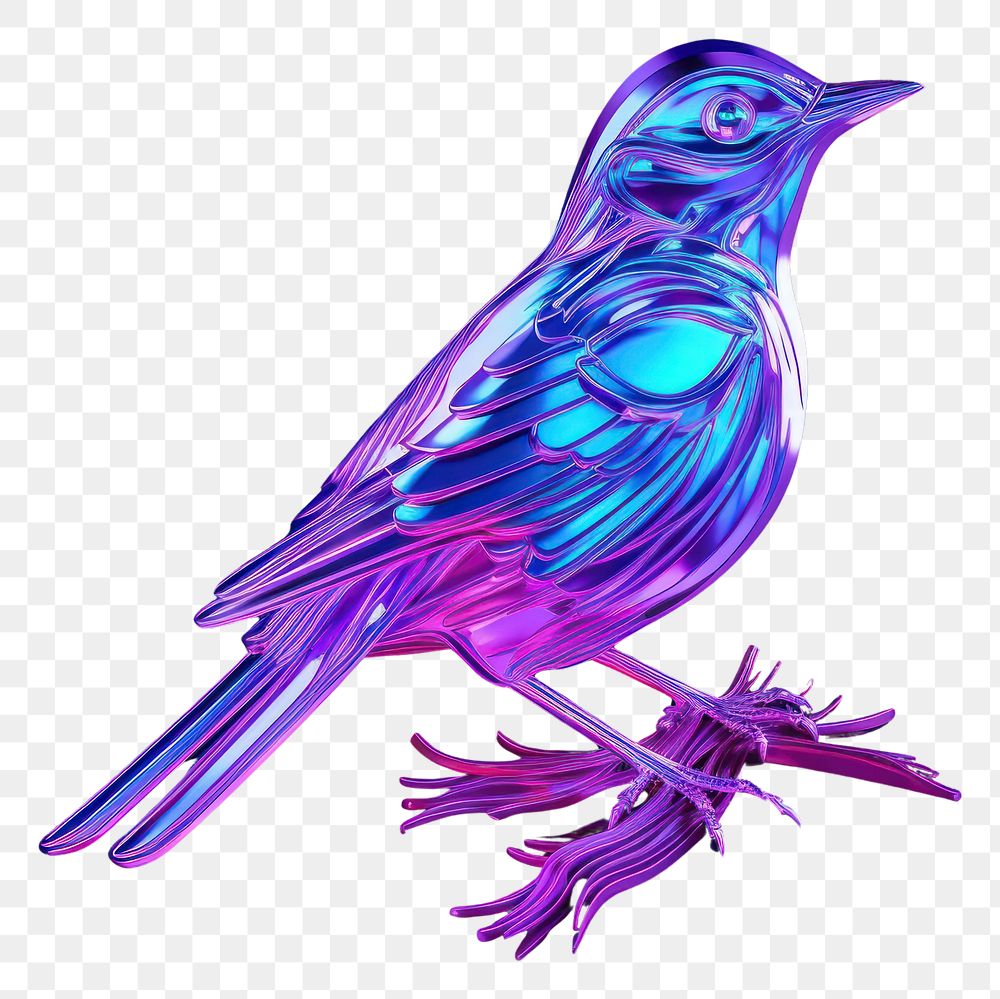PNG Bird animal purple creativity.