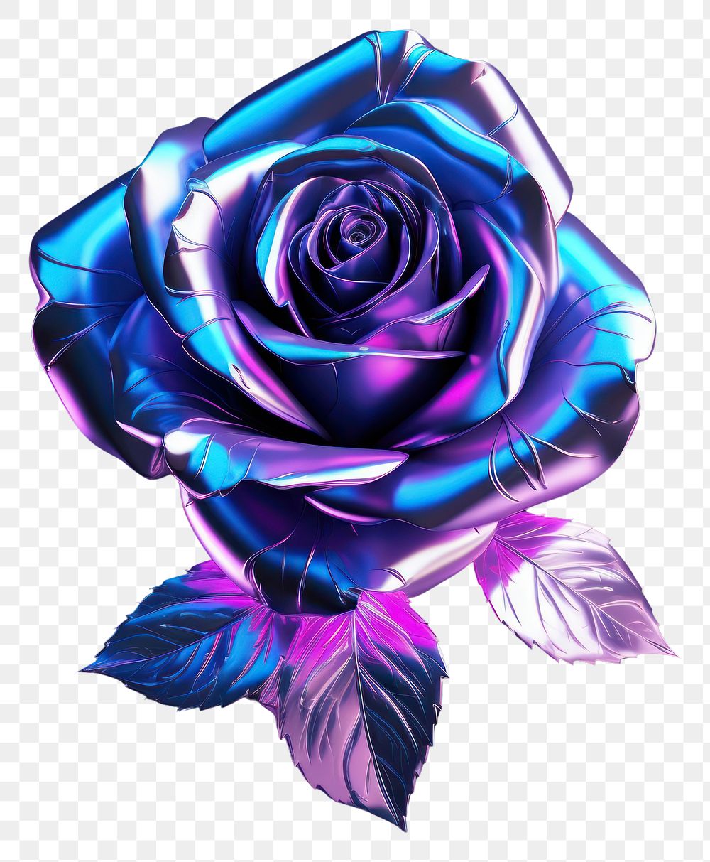 PNG Rose violet flower light.
