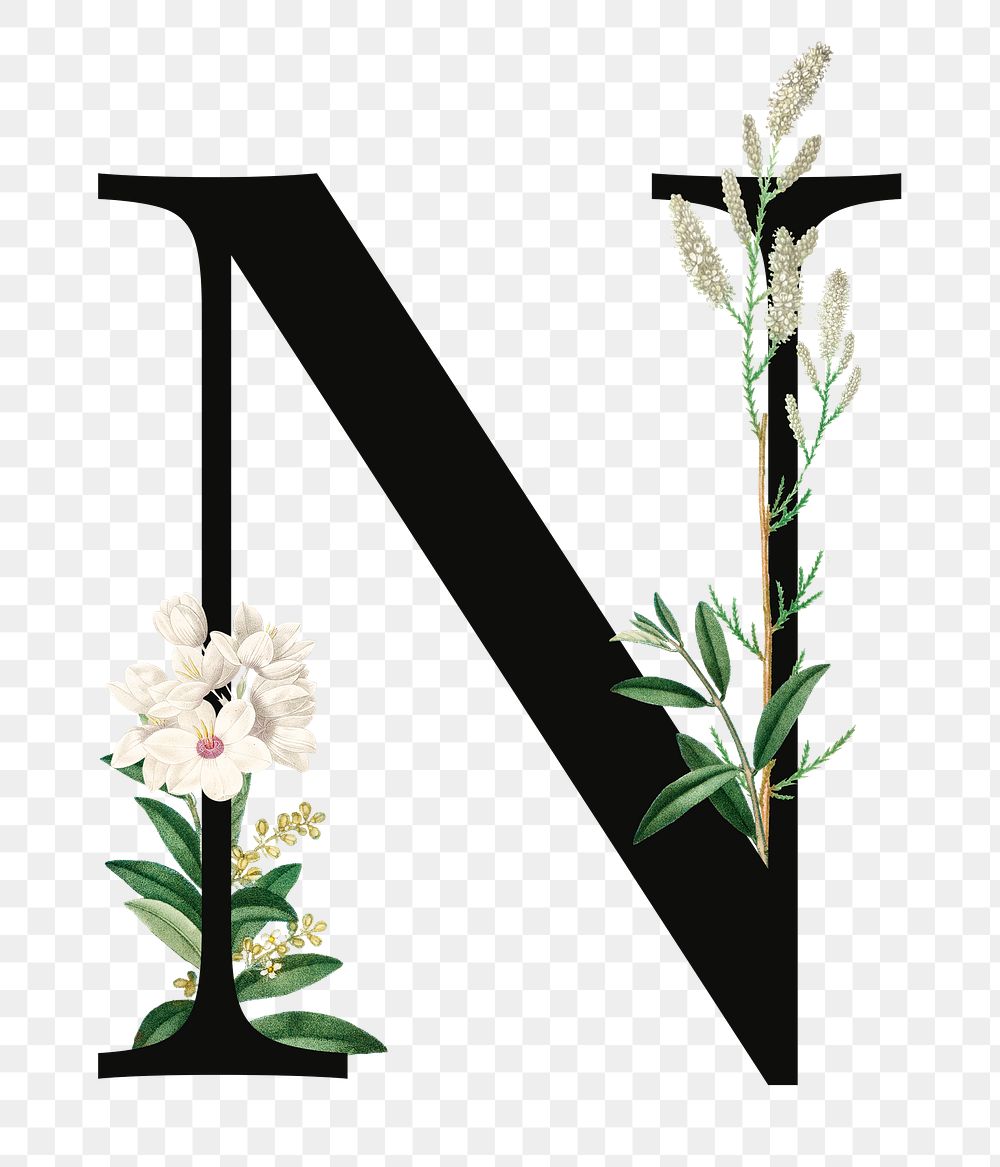 PNG floral letter N digital art illustration, transparent background