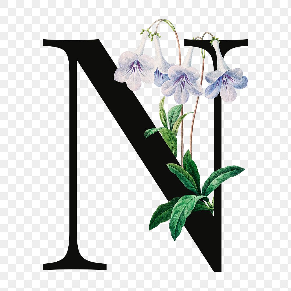 PNG floral letter N digital art illustration, transparent background