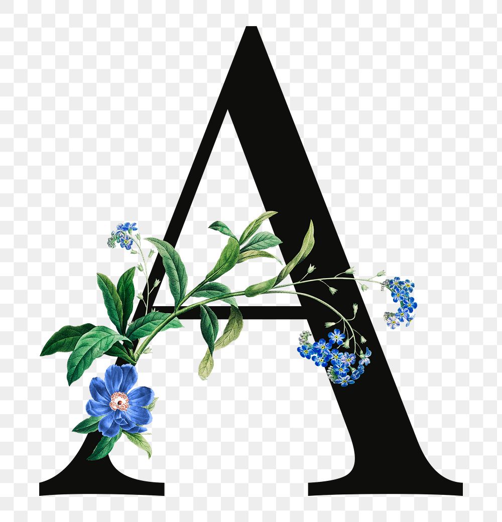 PNG floral letter A digital art illustration, transparent background
