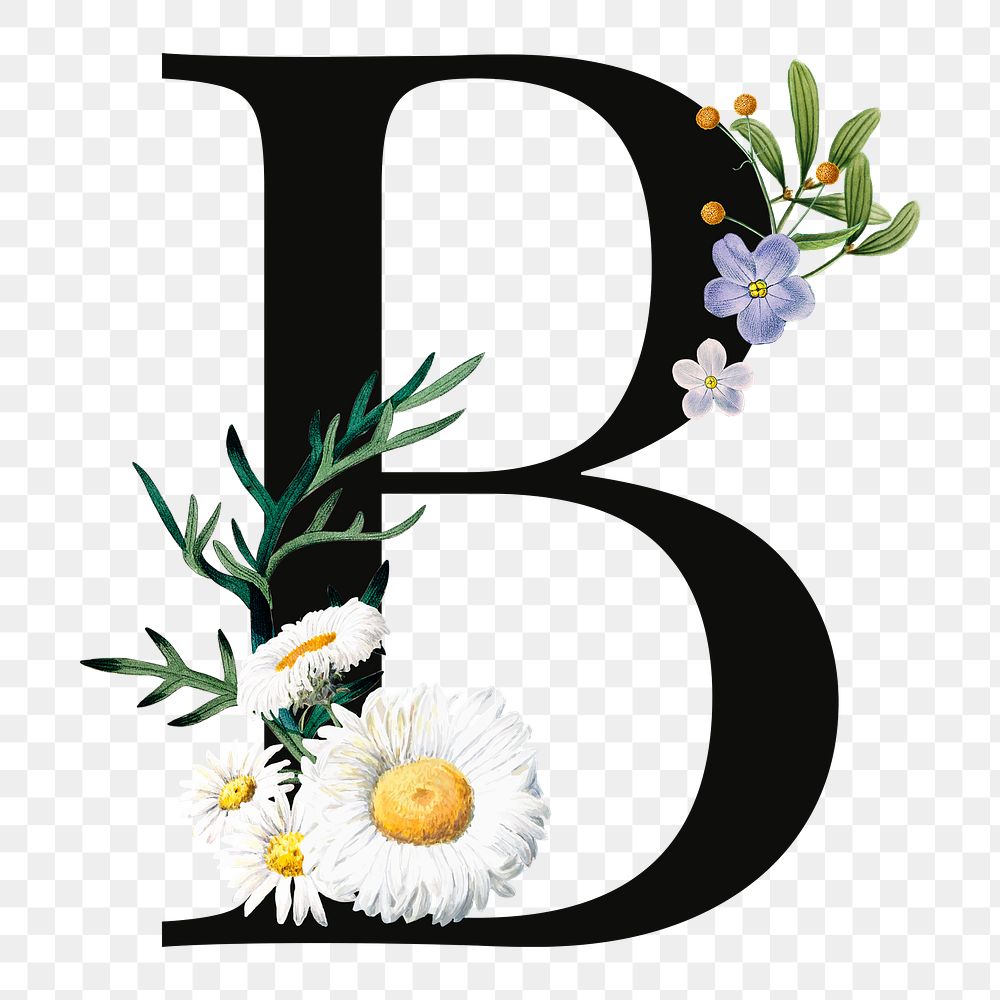 PNG floral letter B digital art illustration, transparent background