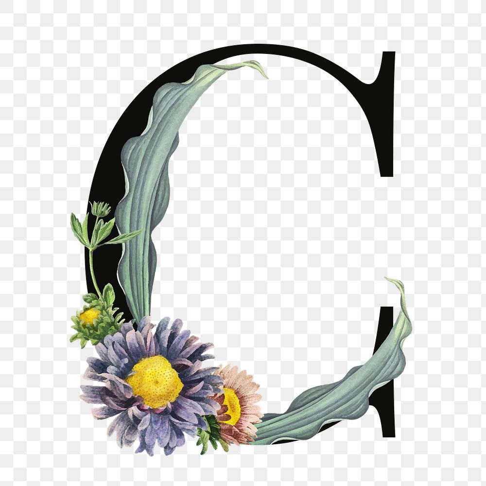 PNG floral letter C digital art illustration, transparent background