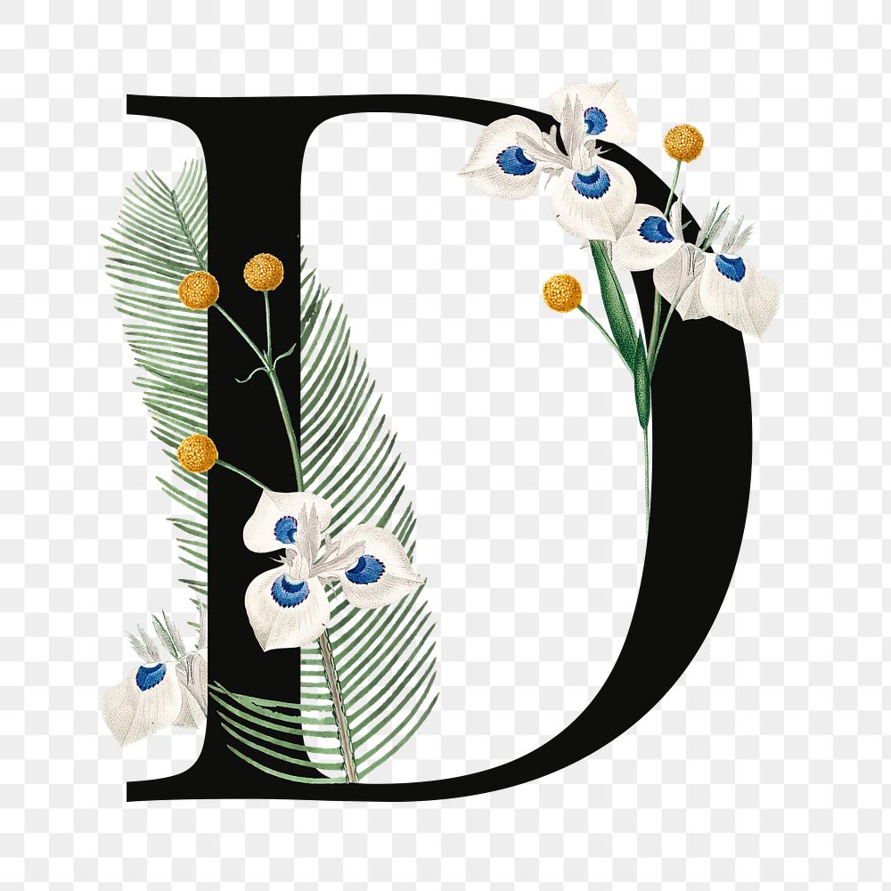 PNG floral letter D digital art illustration, transparent background