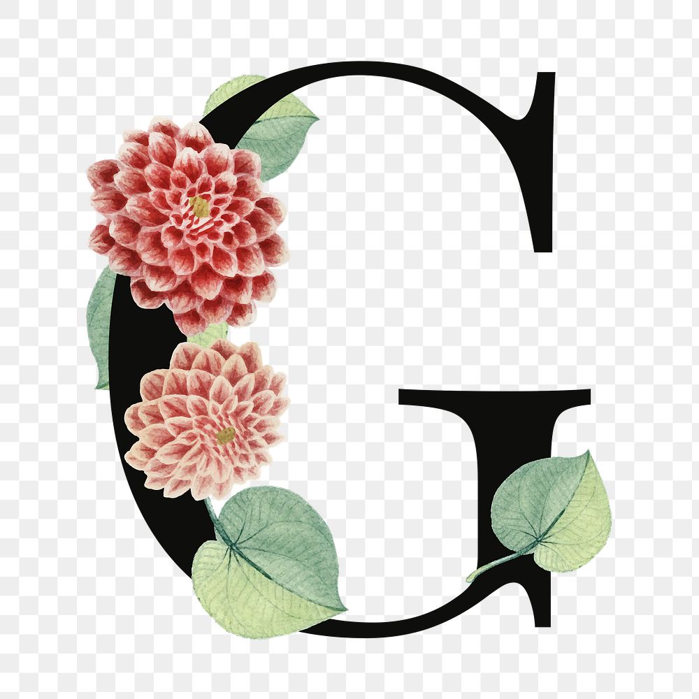 PNG floral letter G digital art illustration, transparent background