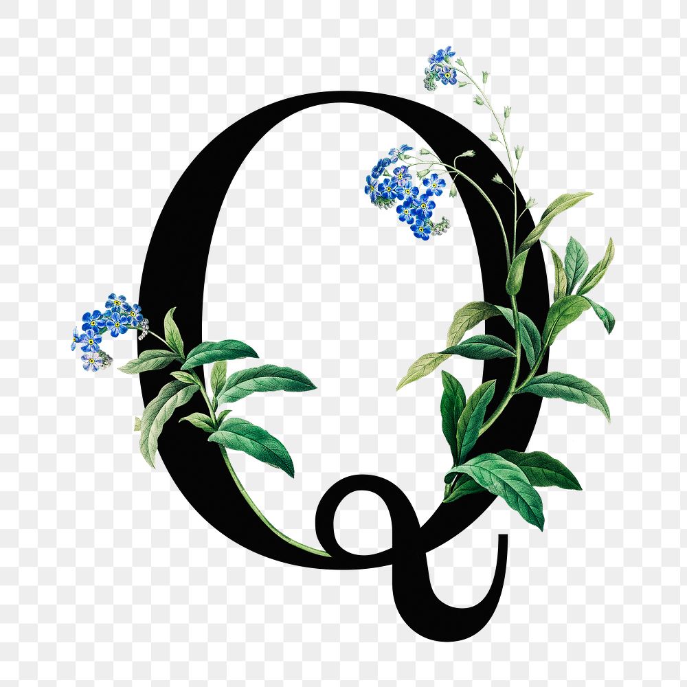 PNG floral letter Q digital art illustration, transparent background
