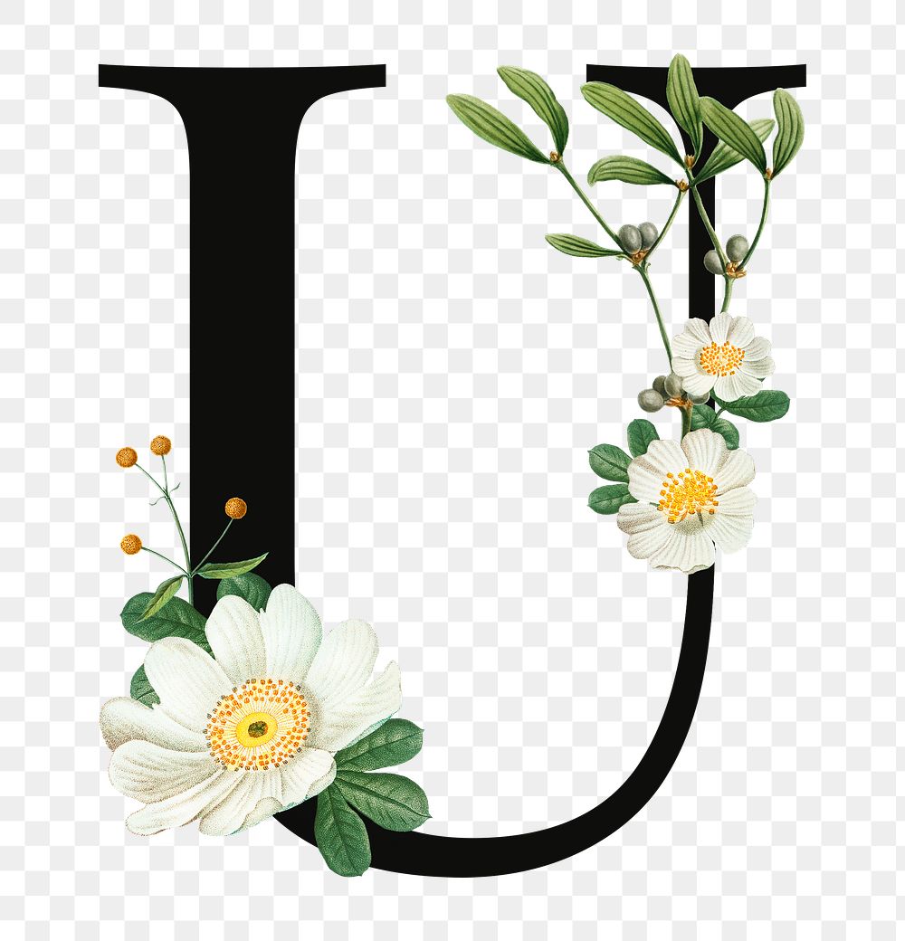 PNG floral letter U digital art illustration, transparent background