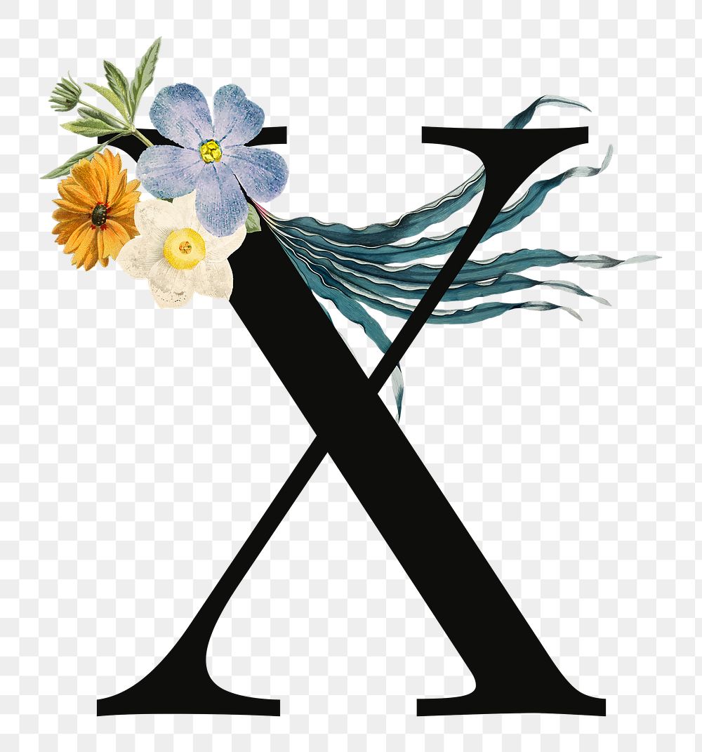 PNG floral letter X digital art illustration, transparent background