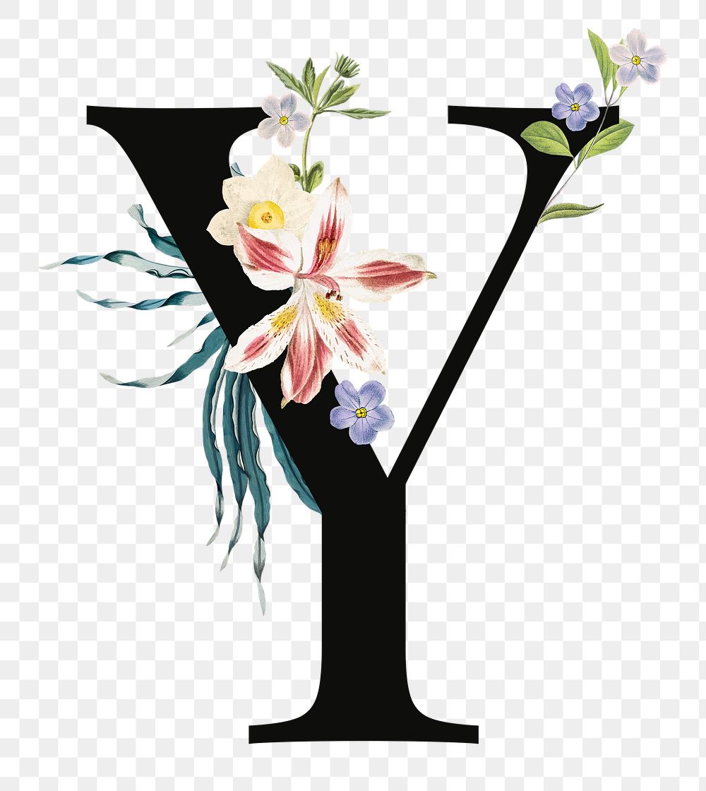 PNG floral letter Y digital art illustration, transparent background