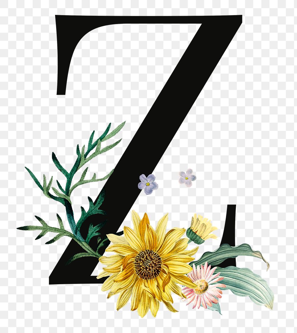 PNG floral letter Z digital art illustration, transparent background