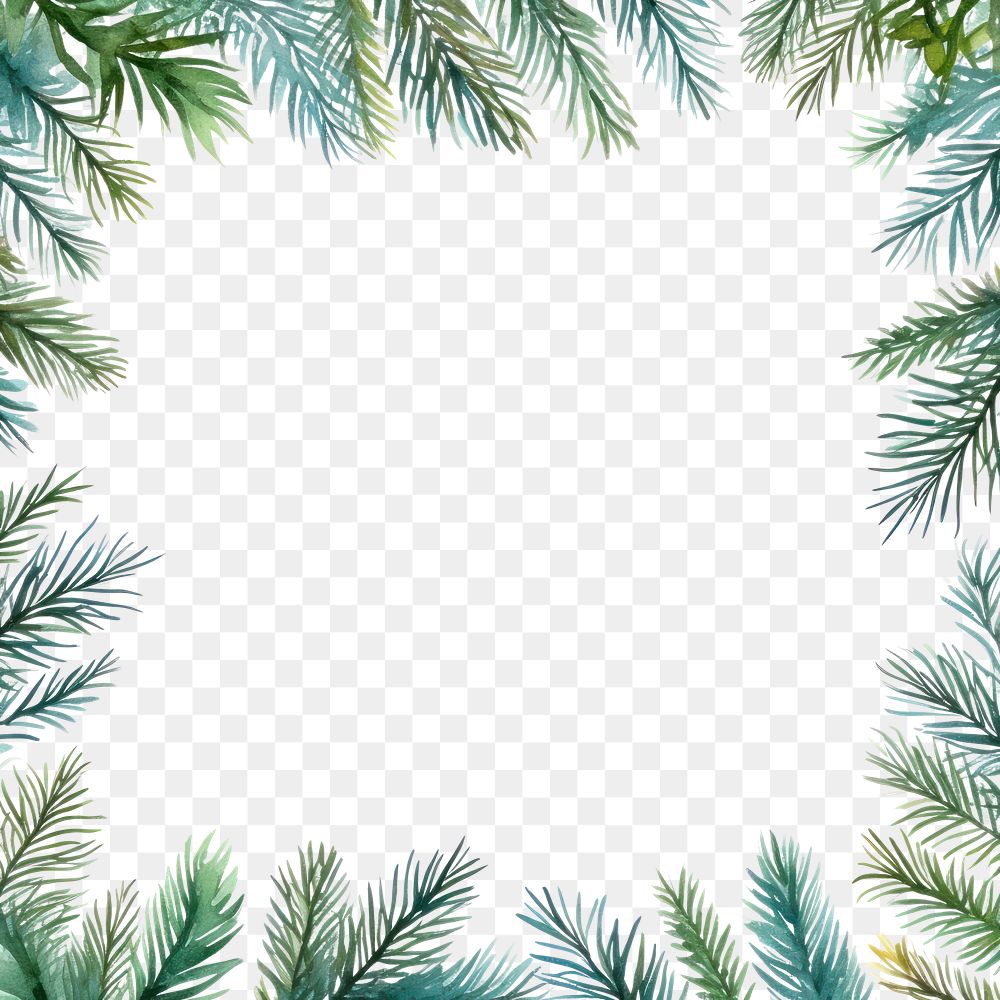 PNG Pine leaves square border backgrounds pattern nature.