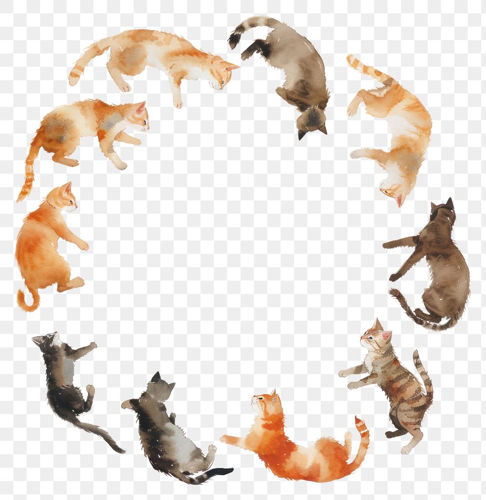 PNG Cute cats circle border animal mammal pet.