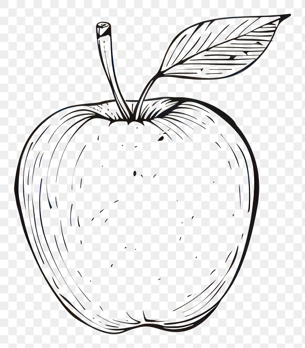PNG Hand drawn of apple drawing sketch artwork.
