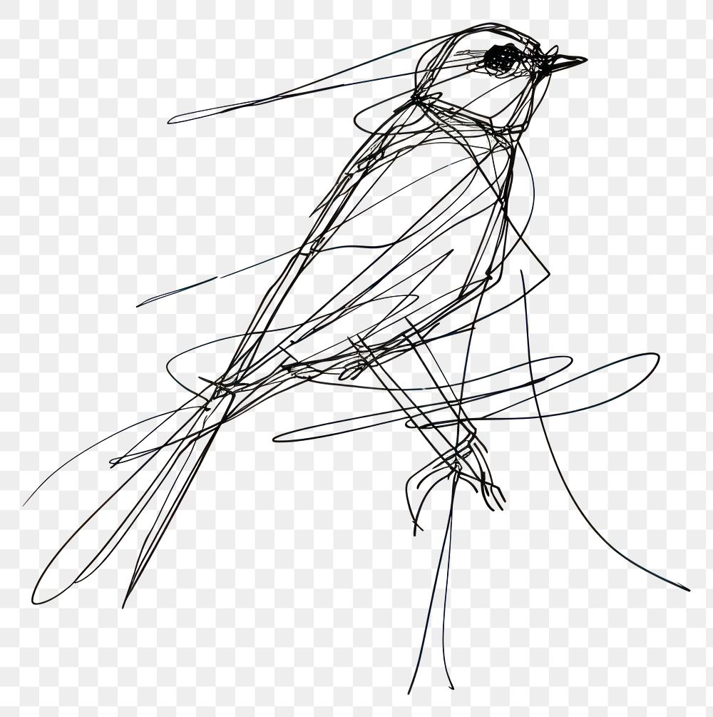 PNG Hand drawn of bird drawing sketch art