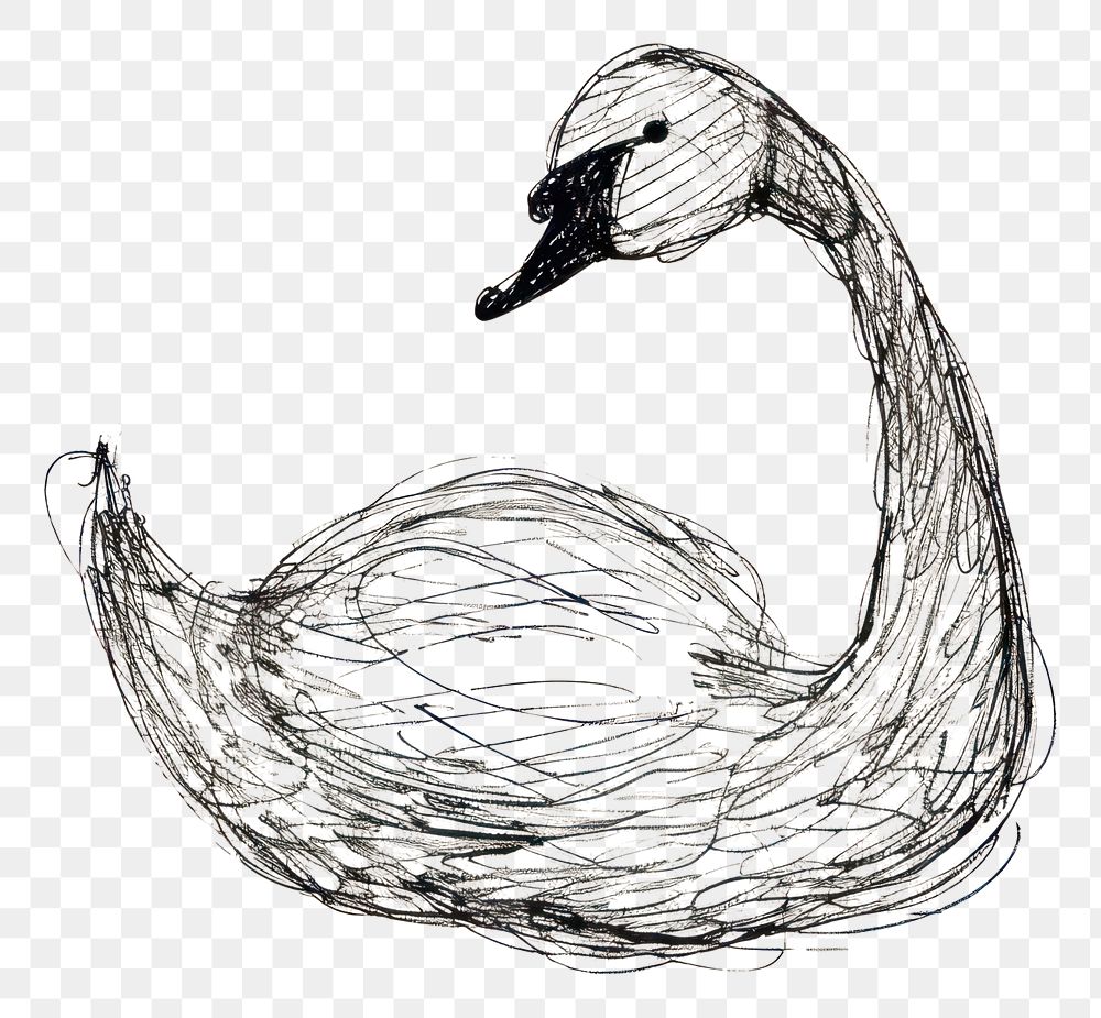 PNG Hand drawn of swan drawing sketch cartoon.