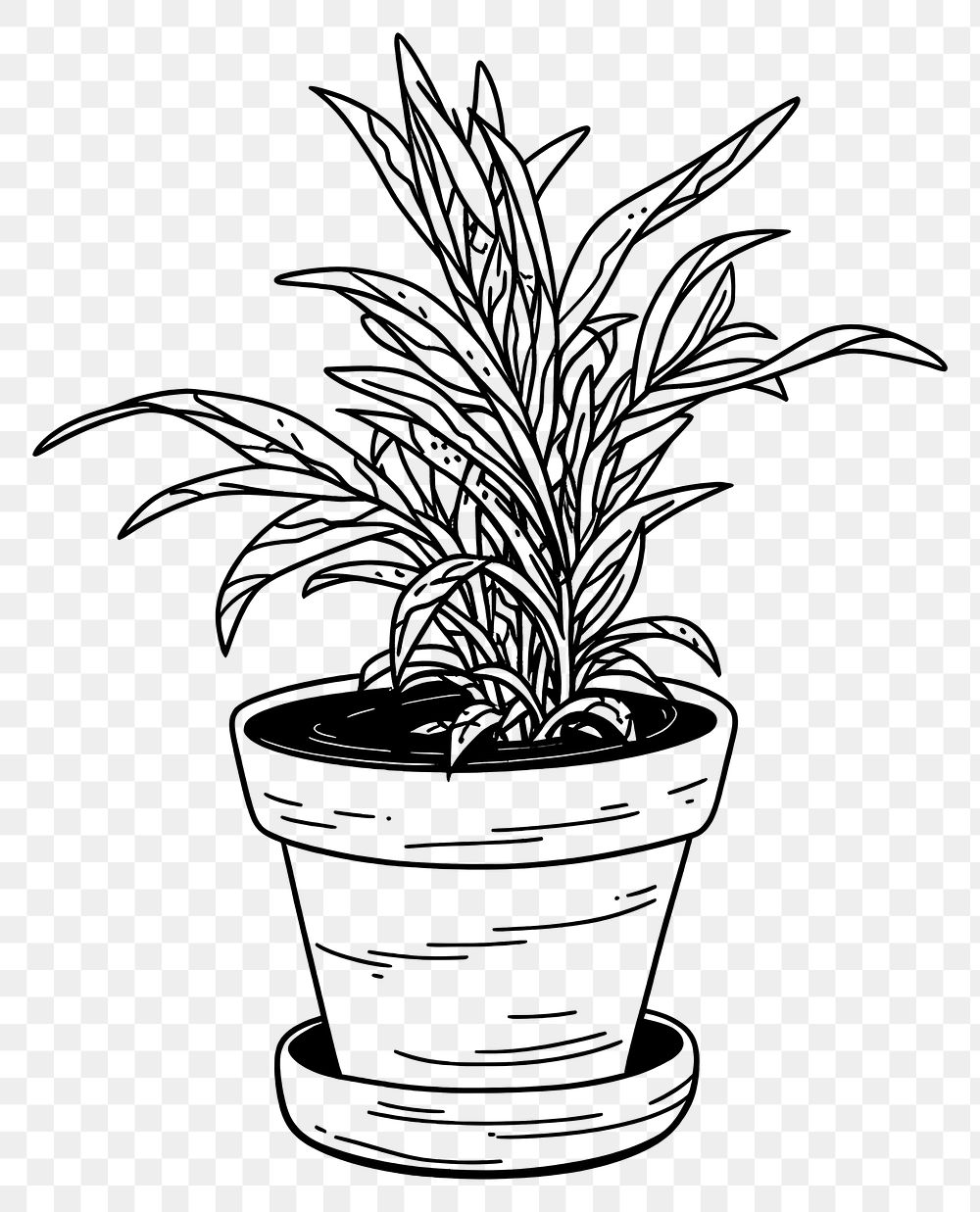 PNG Outline sketching illustration of a plant pot cartoon drawing illustrated.