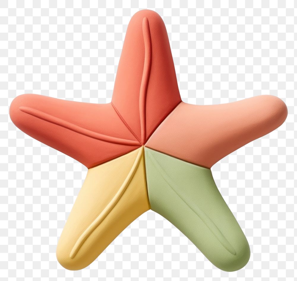 PNG Starfish simplicity creativity echinoderm.