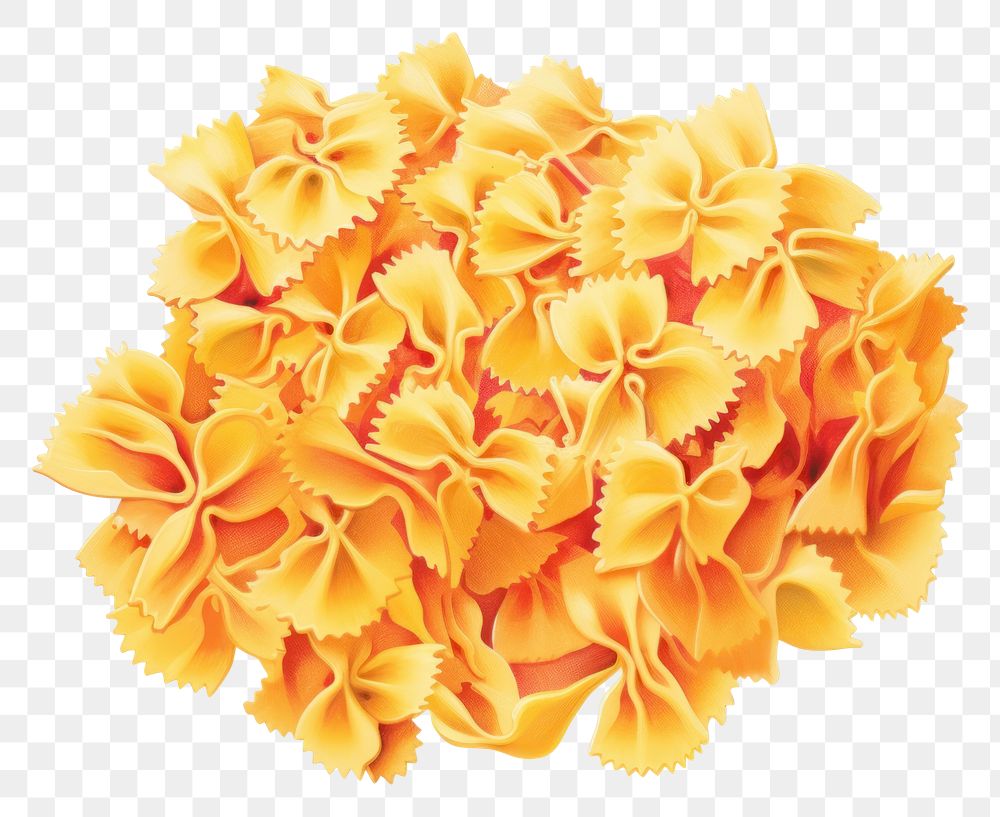 PNG Farfalle on pasta food white background.