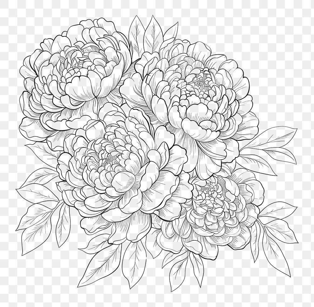 PNG  Peony flowers illustrated drawing reptile.