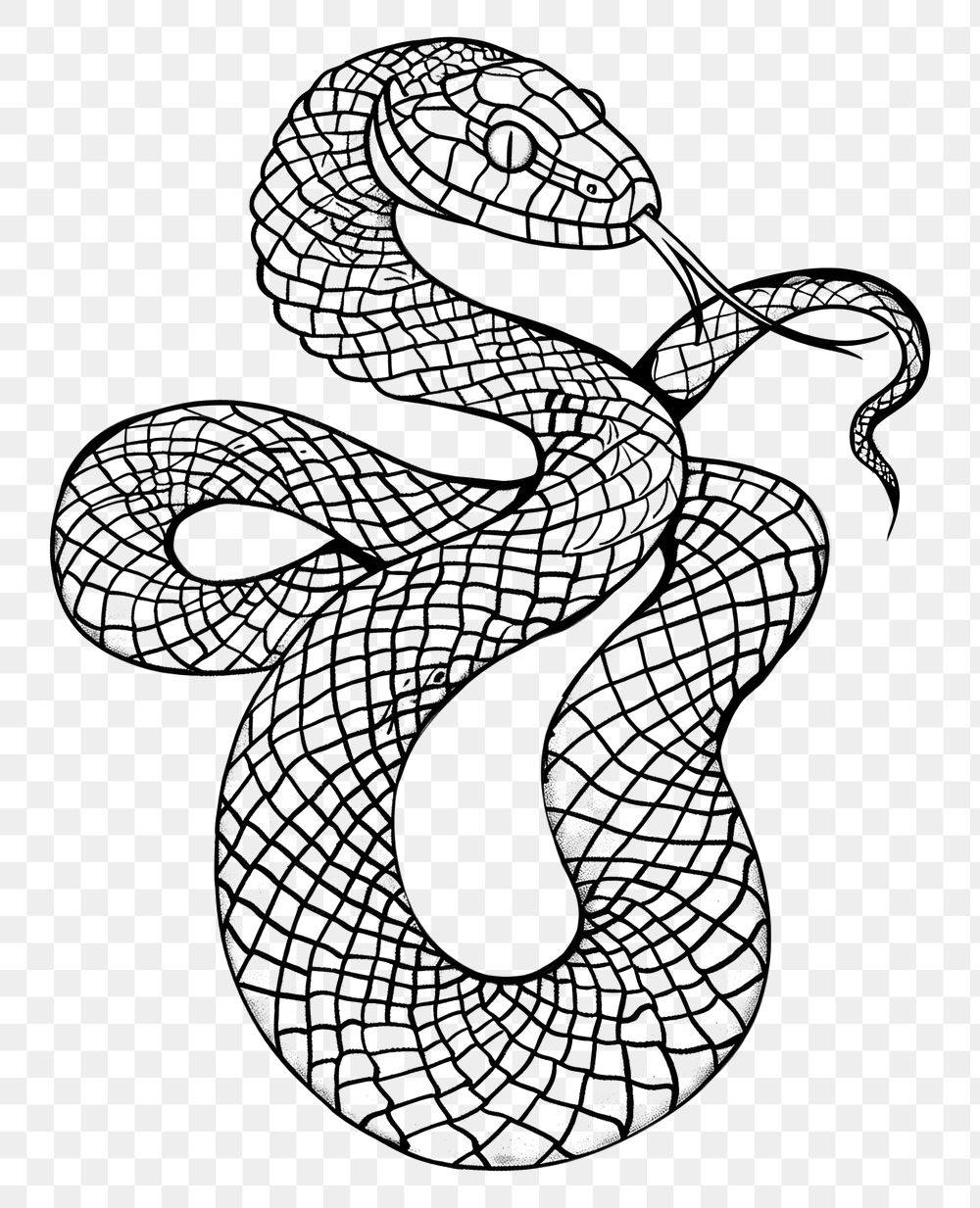 PNG  Snake illustrated reptile drawing.