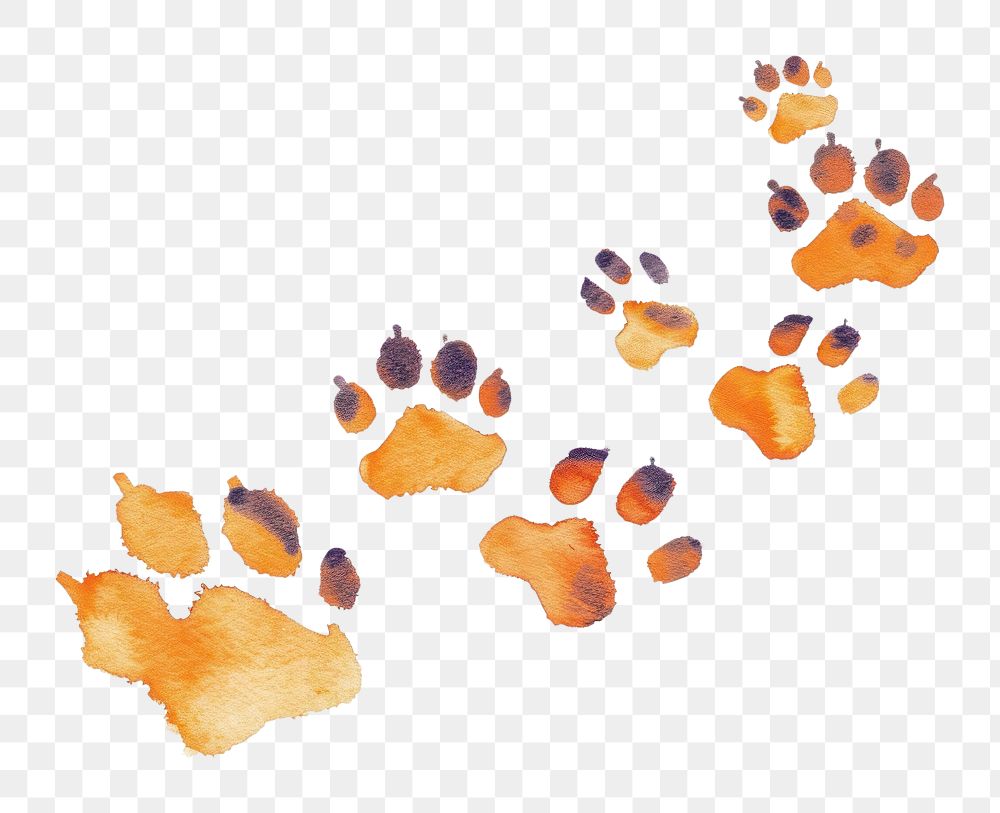 PNG Cat paw print footprint stain.