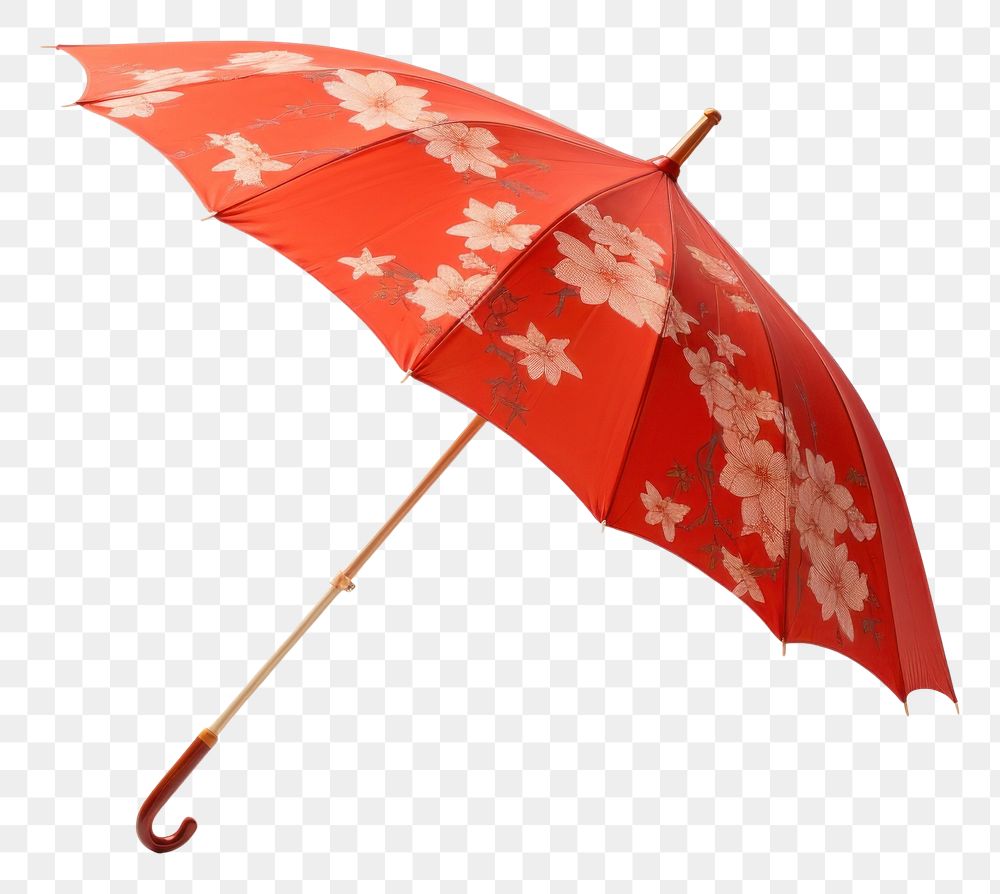 PNG  Parasol umbrella canopy.