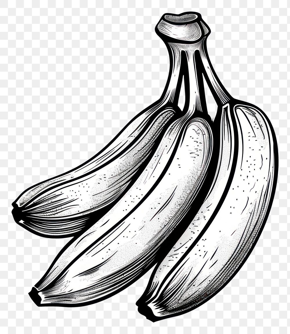 PNG  Banana produce fruit plant.