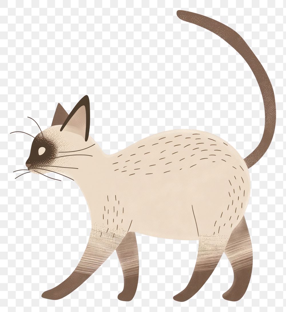 PNG  Siamese cat rat illustrated.