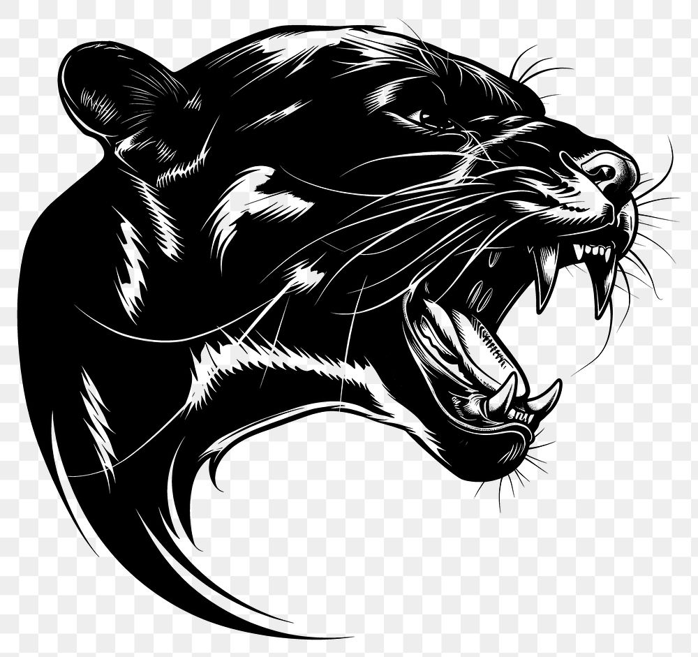 PNG  Panther drawing illustrated wildlife.