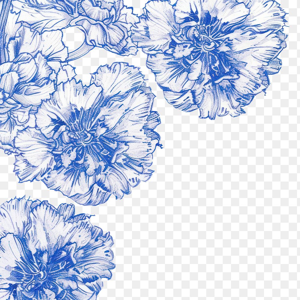 PNG Vintage drawing carnation border asteraceae graphics outdoors.