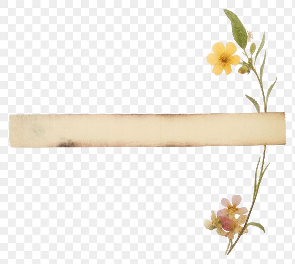 PNG Adhesive tape flower plant white background.