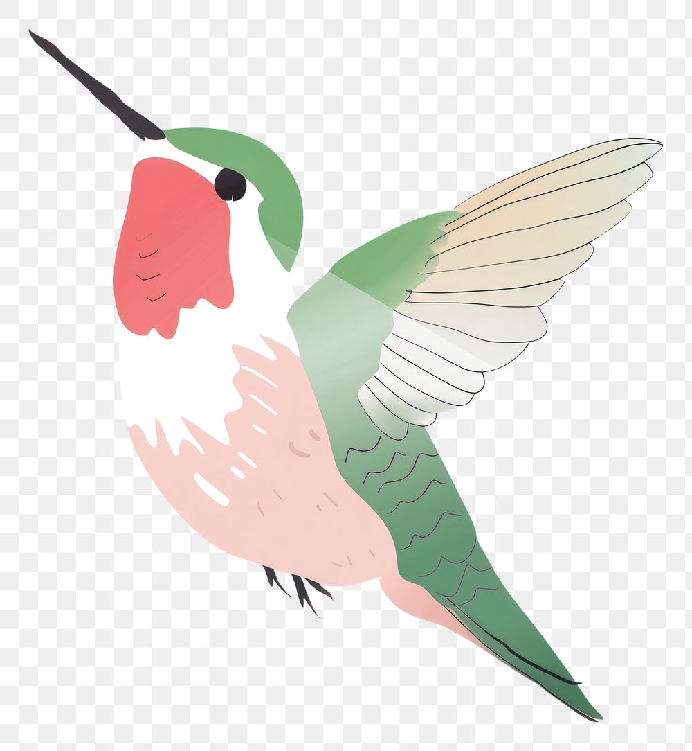 PNG Cute humming bird illustration hummingbird animal flying.