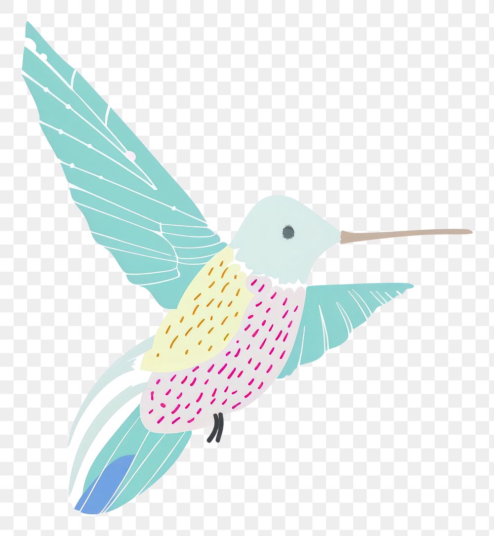 PNG Cute humming bird illustration hummingbird animal flying.
