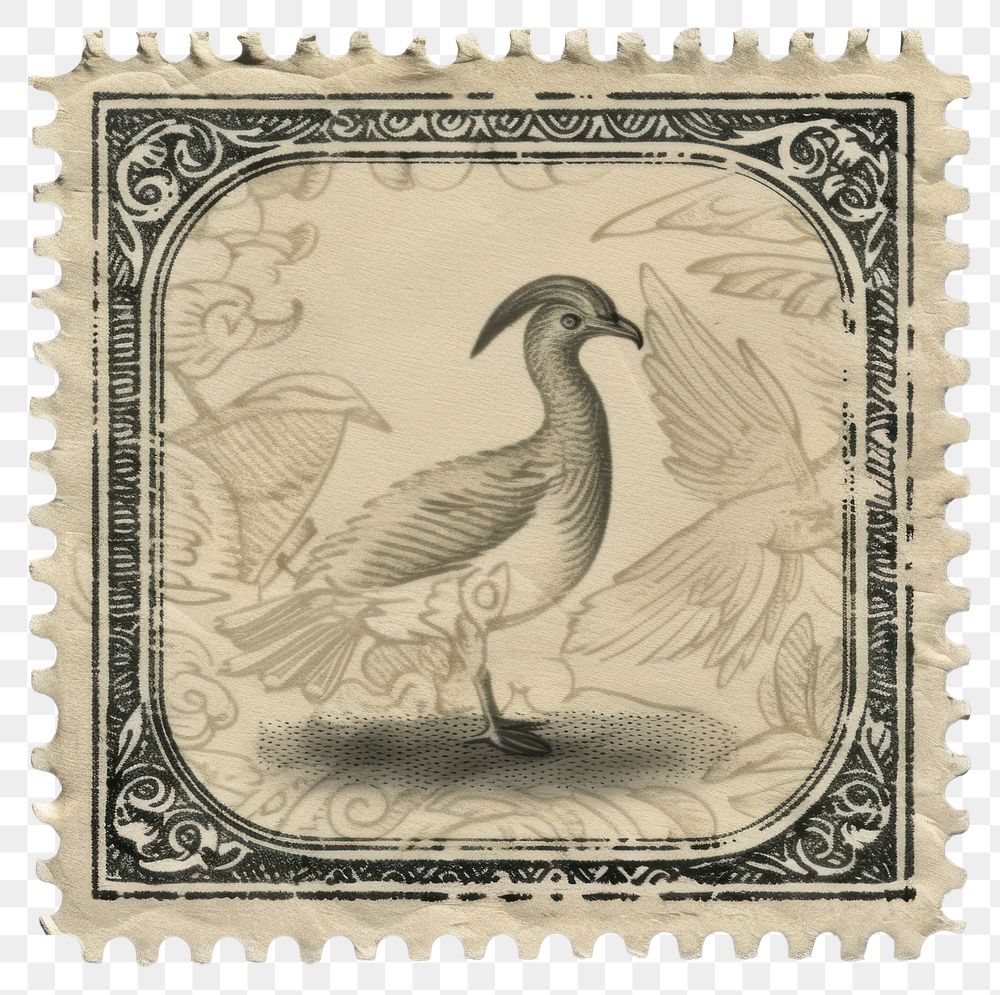 PNG  Vintage postage stamp animal bird art.