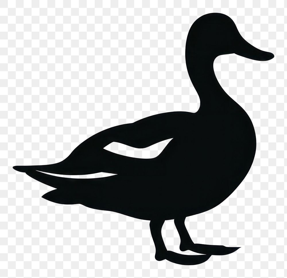 PNG Duck silhouette duck waterfowl.