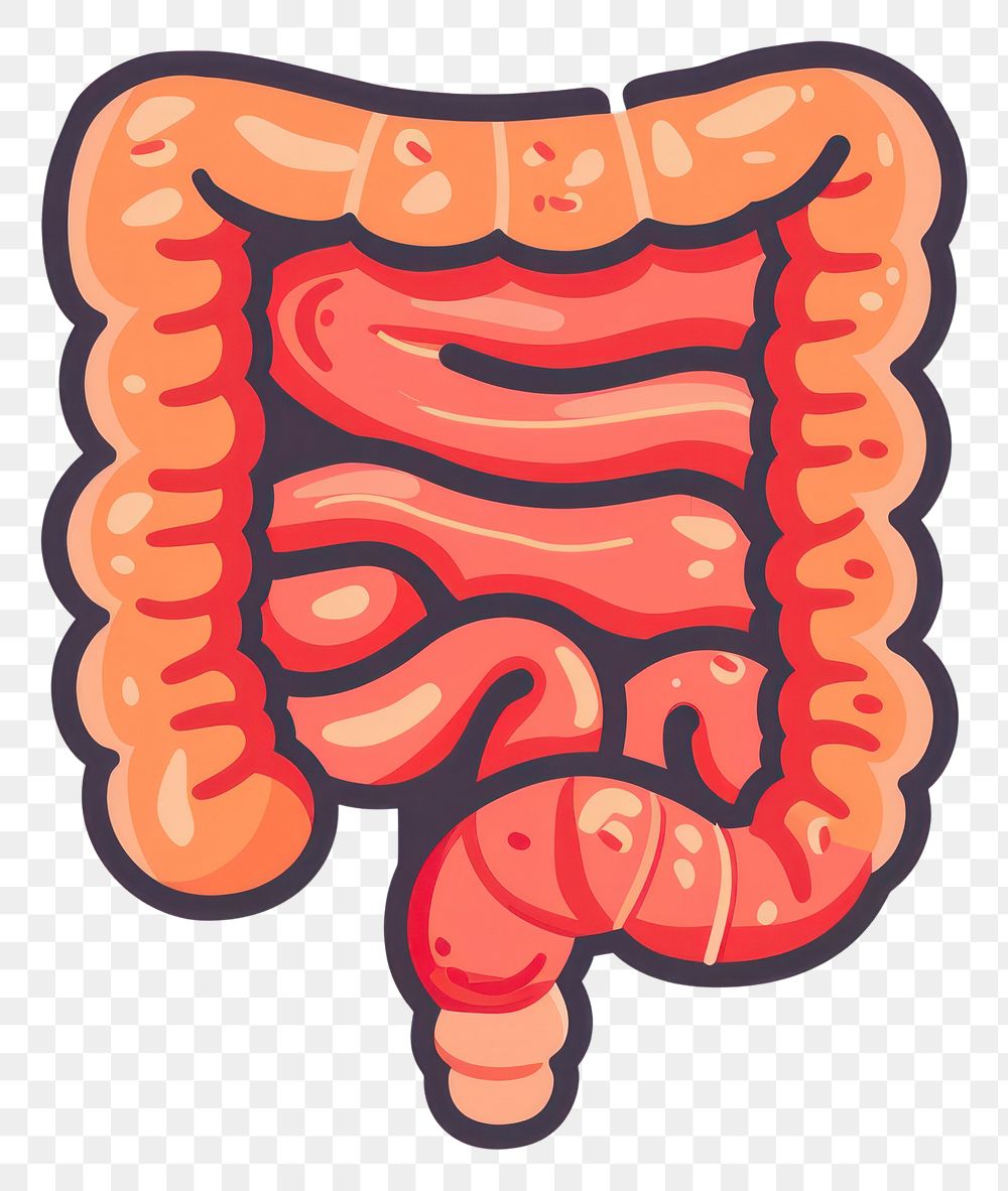 PNG Intestines flat icon human person diaper.
