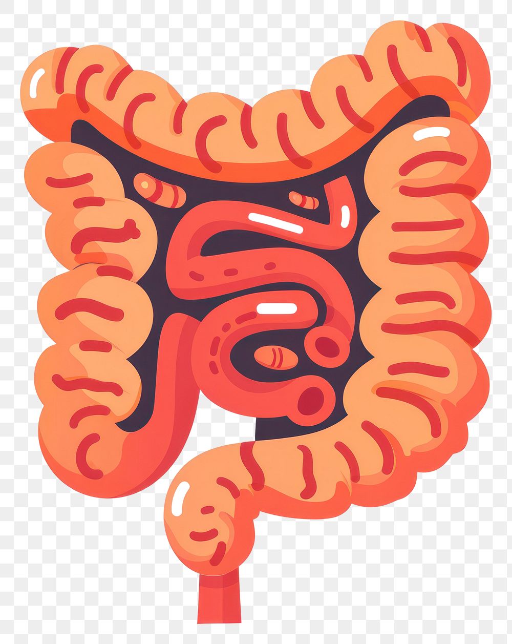 PNG Intestines flat icon confectionery dynamite weaponry.