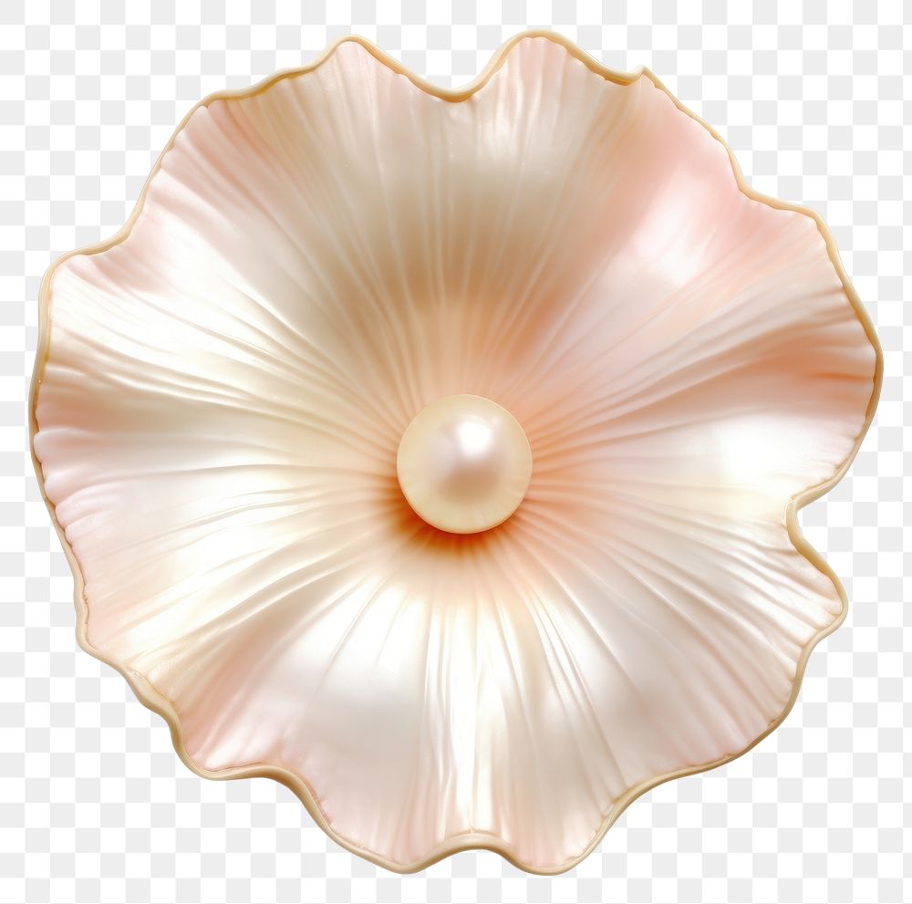 PNG Flower pearl jewelry shape.
