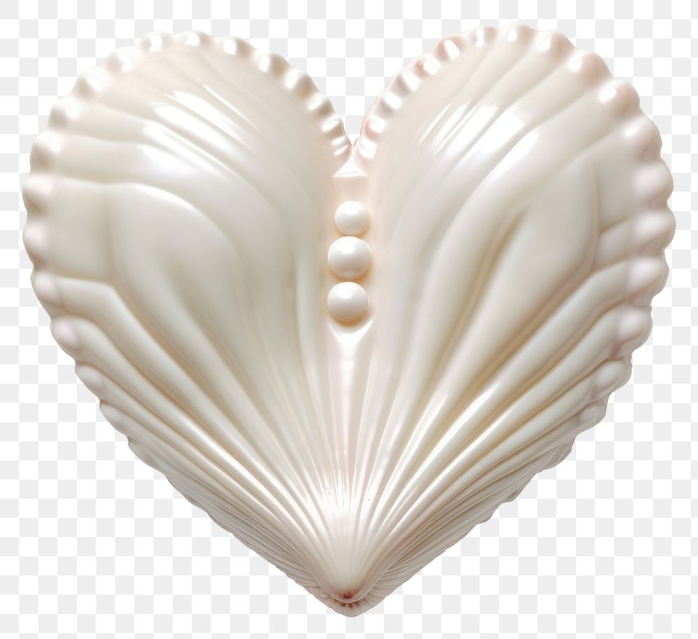 PNG Heart shape shell invertebrate.