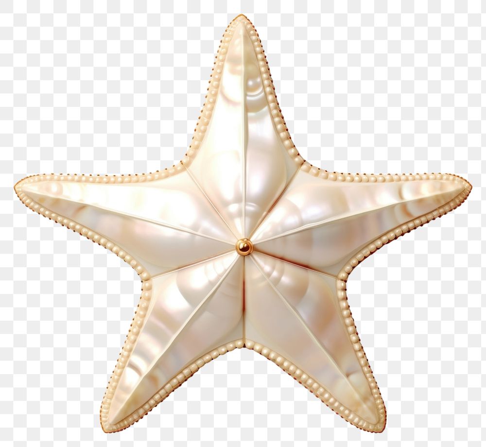 PNG Star starfish jewelry shape.