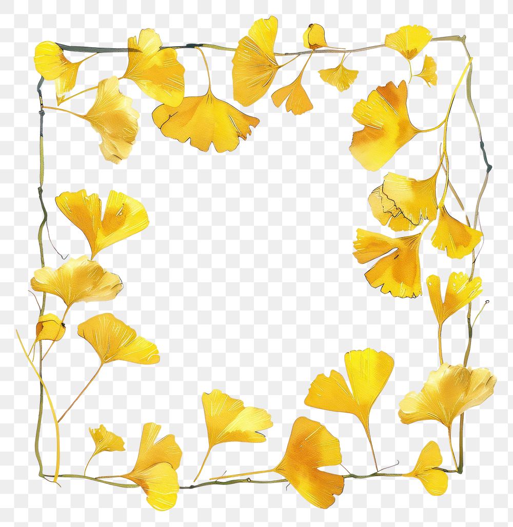PNG Yellow ginkgo border watercolor plant petal white background.