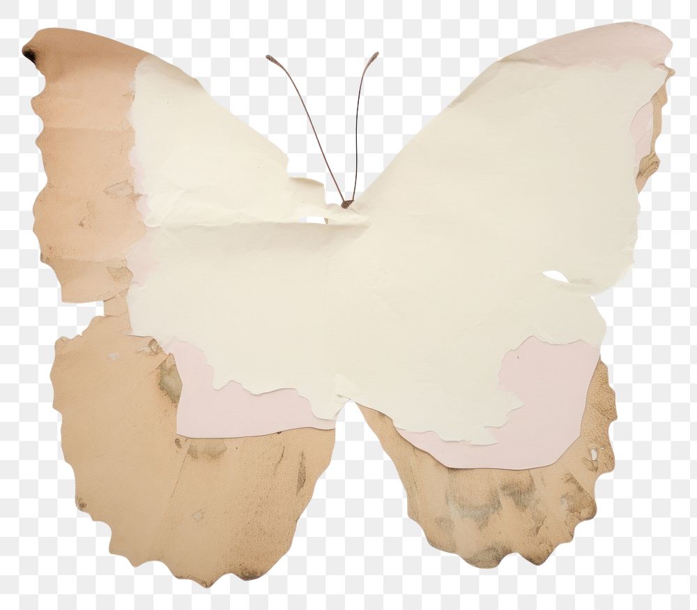 PNG Butterfly animal paper white
