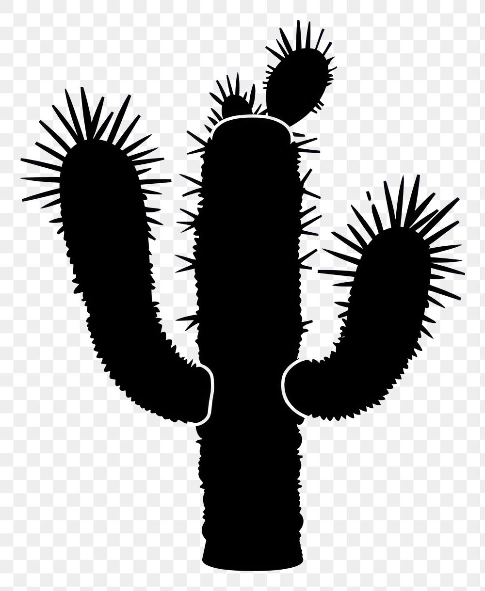 PNG A cactus silhouette stencil plant.