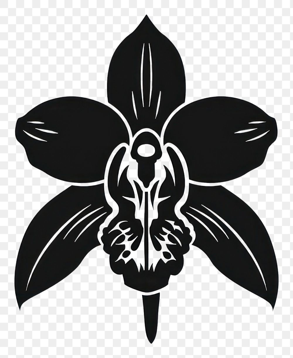 PNG A orchid flower stencil blossom animal.