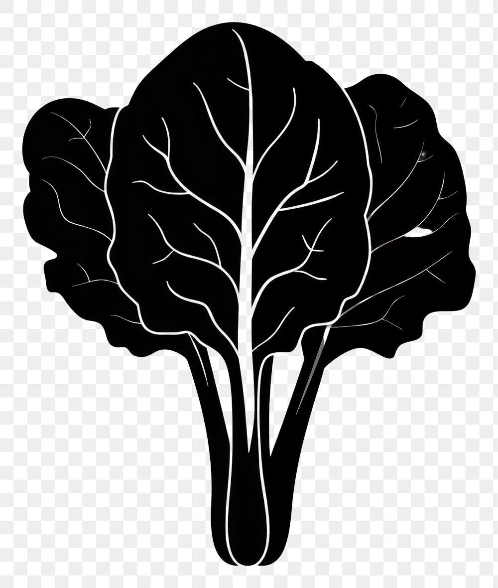 PNG A spinach vegetable produce stencil.
