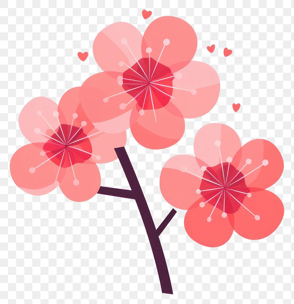 PNG Sakura chandelier graphics blossom.