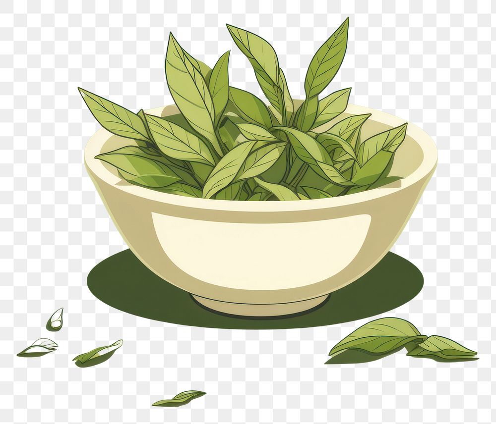 PNG Tea leaves pottery herbal herbs.