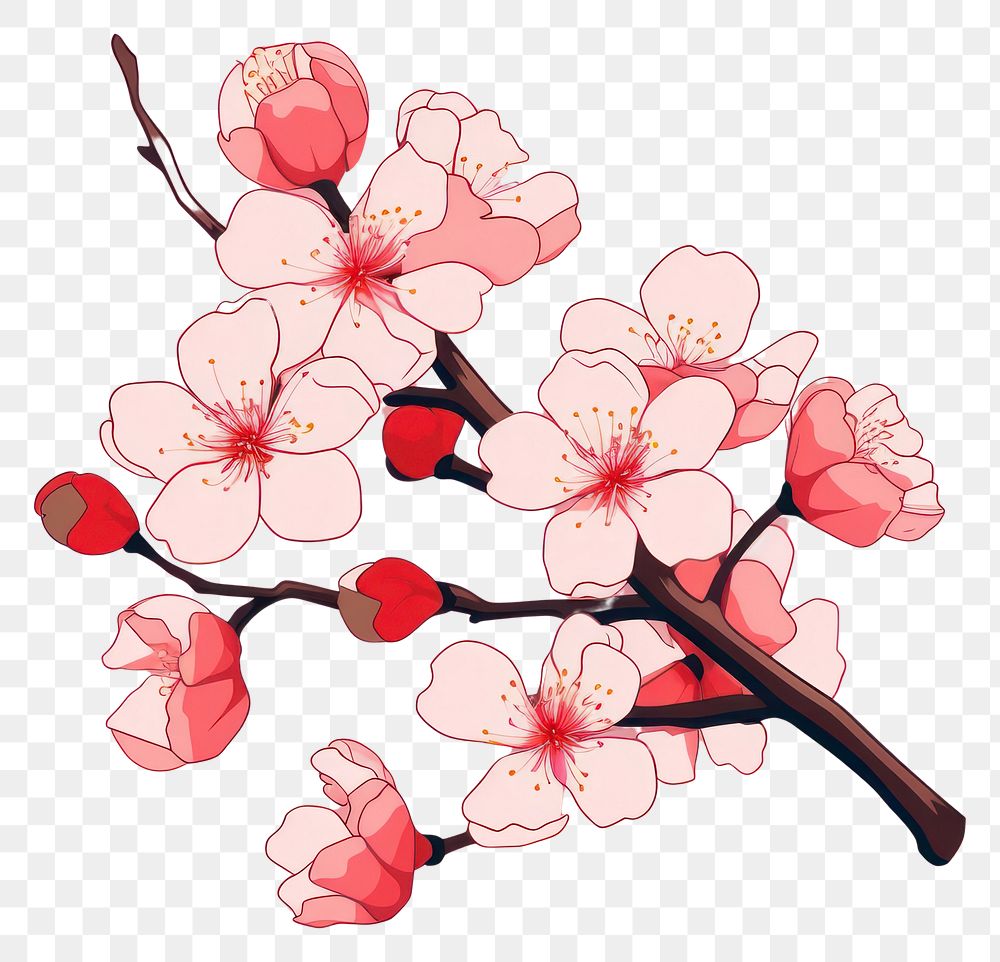 PNG Sakura dynamite weaponry blossom.