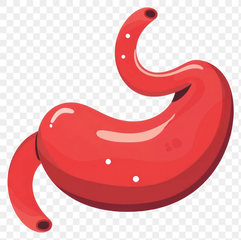 PNG Cute minimal stomach icon ketchup food disk.